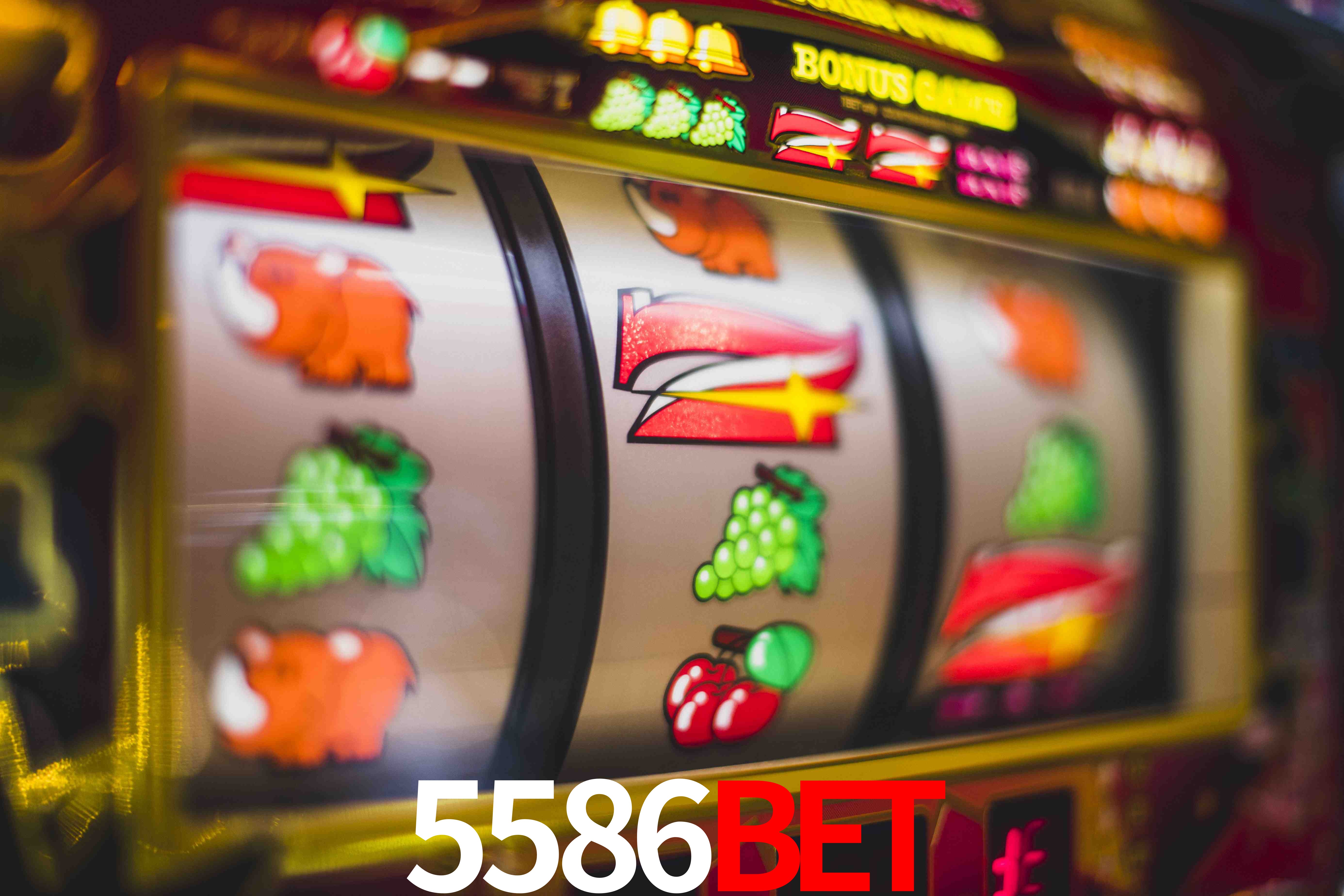 Blackjack Table 5586bet
